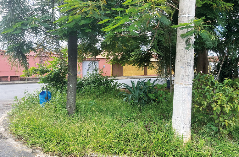 Moradores cobram serviço de limpeza no bairro Catarina e Av. Boqueirão, em Sete Lagoas