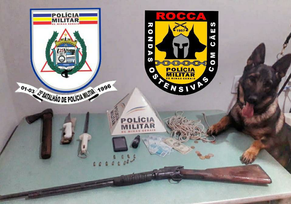 A arma foi localizada com o auxílio da ROCCA - Rondas Ostensivas Com Cães